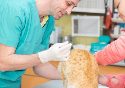 vaccinari si deparazitari - cabinet veterinar in Navodari - CertoVet.ro 001